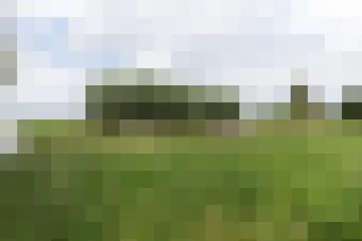 Achterland 15 a Groot-Ammers thumbnail 54
