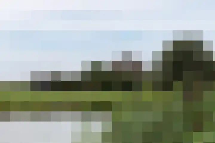 Achterland 15 a Groot-Ammers thumbnail 56