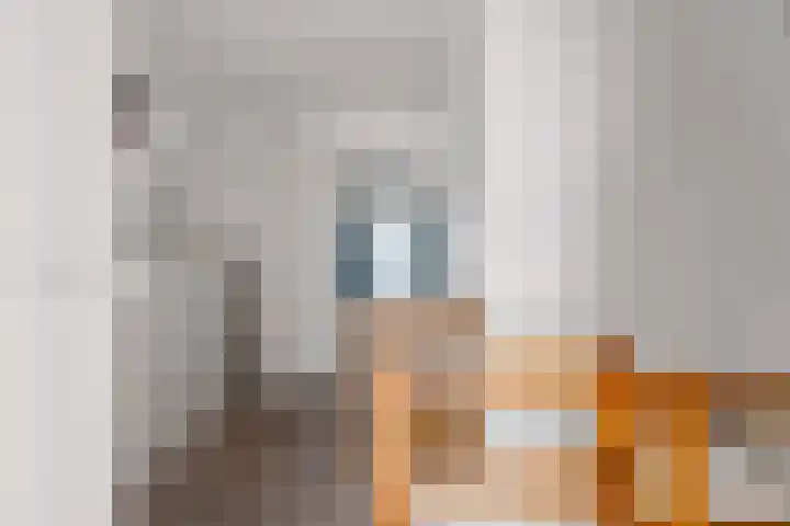 Achterom 16 Aldeboarn thumbnail 19