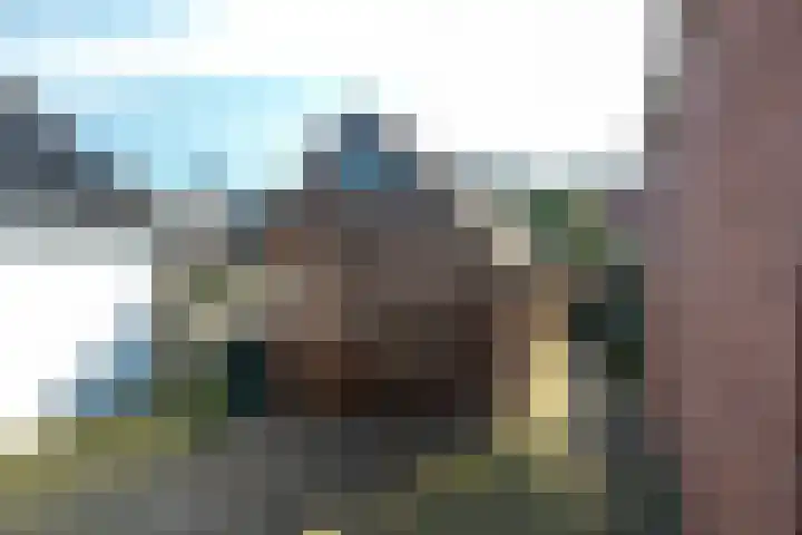 Achterom 16 Aldeboarn thumbnail 26