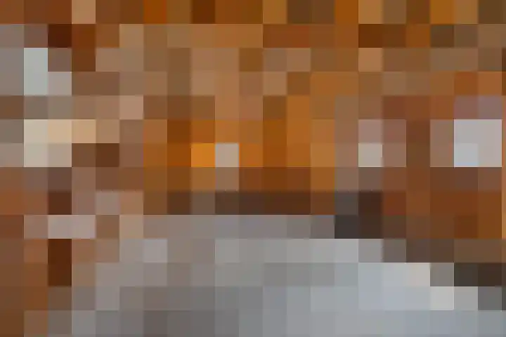 Achterom 16 Aldeboarn thumbnail 27