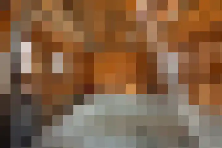 Achterom 16 Aldeboarn thumbnail 28