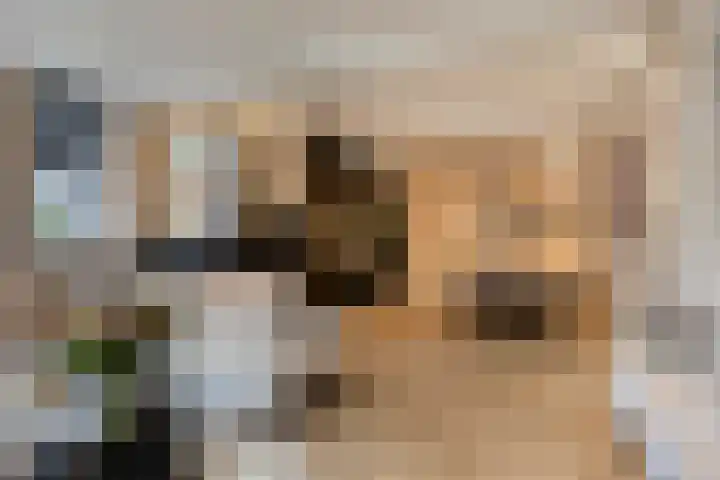 Achterom 20 dans Vlaardingen