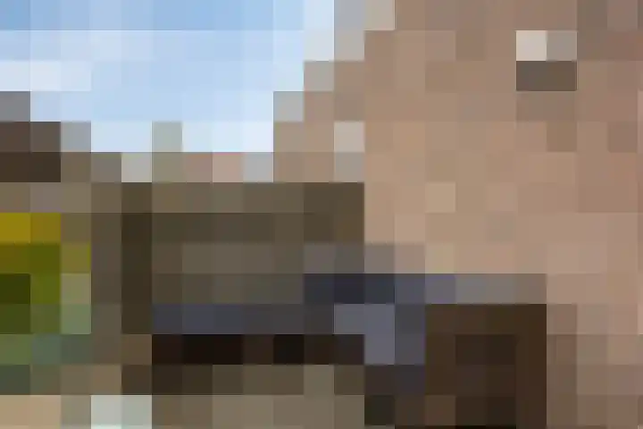 Achterom 52 E Hoorn thumbnail 25