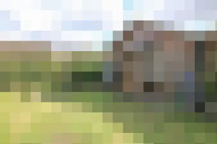 Achterridderweg 1 3 Putten thumbnail 18