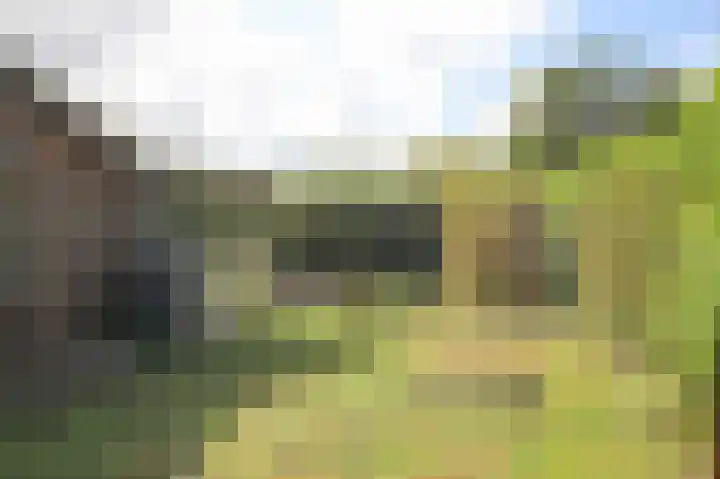 Achterridderweg 1 3 Putten thumbnail 20
