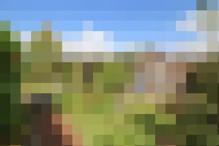 Achterridderweg 1 3 Putten thumbnail 24