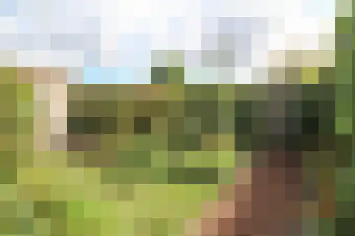 Achterridderweg 1 3 Putten thumbnail 25