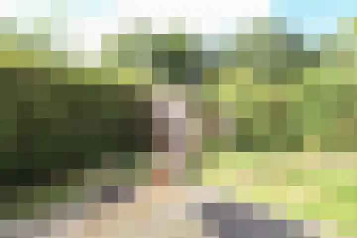 Achterridderweg 1 3 Putten thumbnail 29