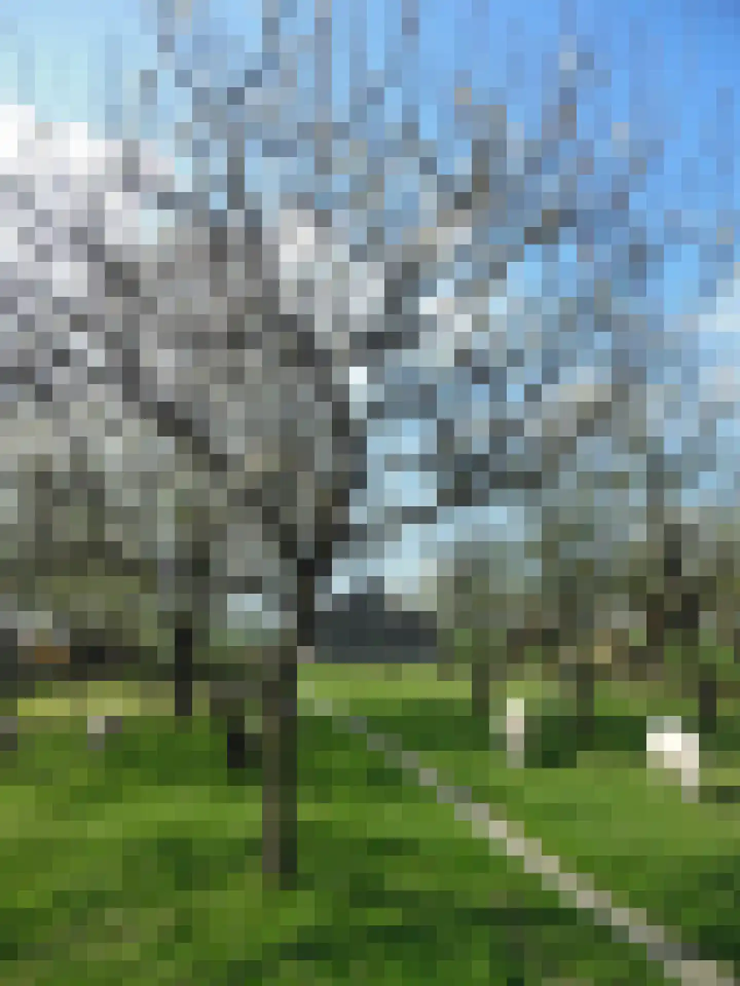 Achtersloot 39 IJsselstein thumbnail 25