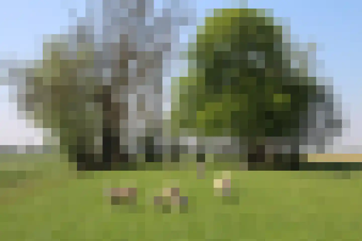 Achtersloot 39 IJsselstein thumbnail 26