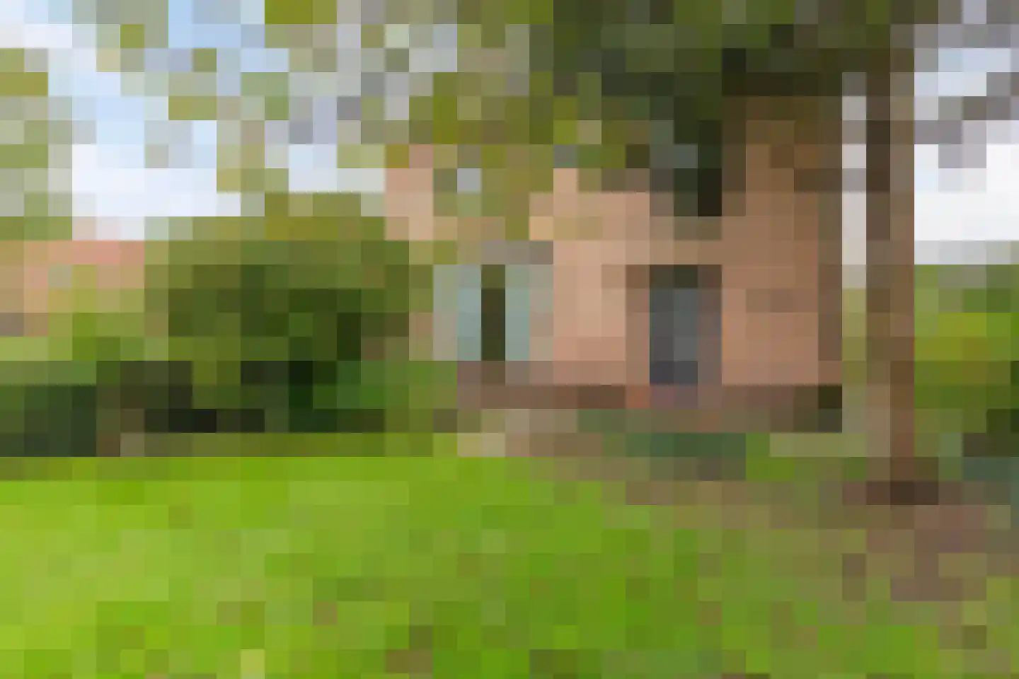Achtersloot 39 IJsselstein thumbnail 9