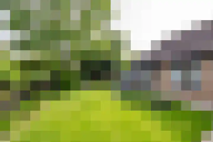Achtersloot 76 IJsselstein thumbnail 34