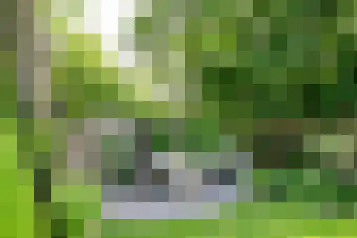 Achtersloot 76 IJsselstein thumbnail 35