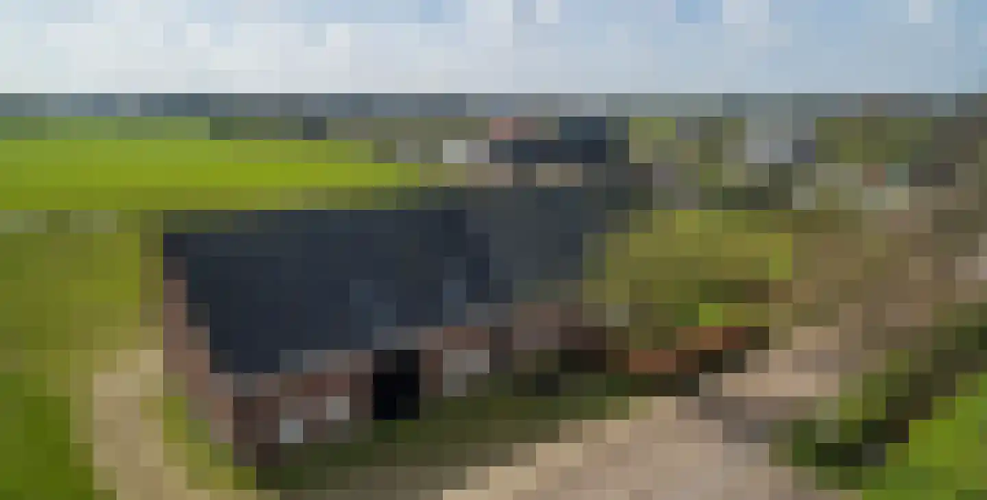Achterst Ven 1 Veghel foto 2