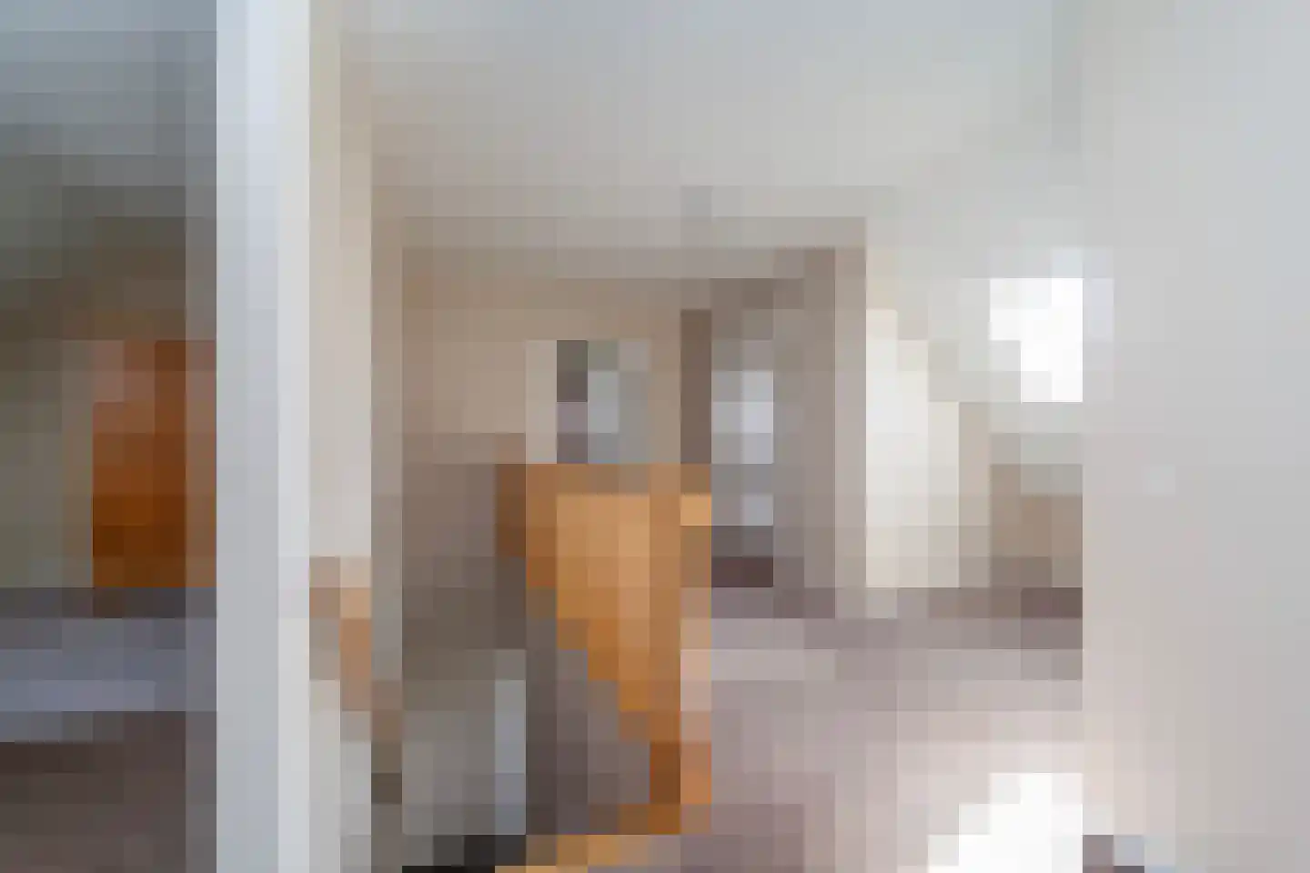 Achterst Ven 1 Veghel thumbnail 26