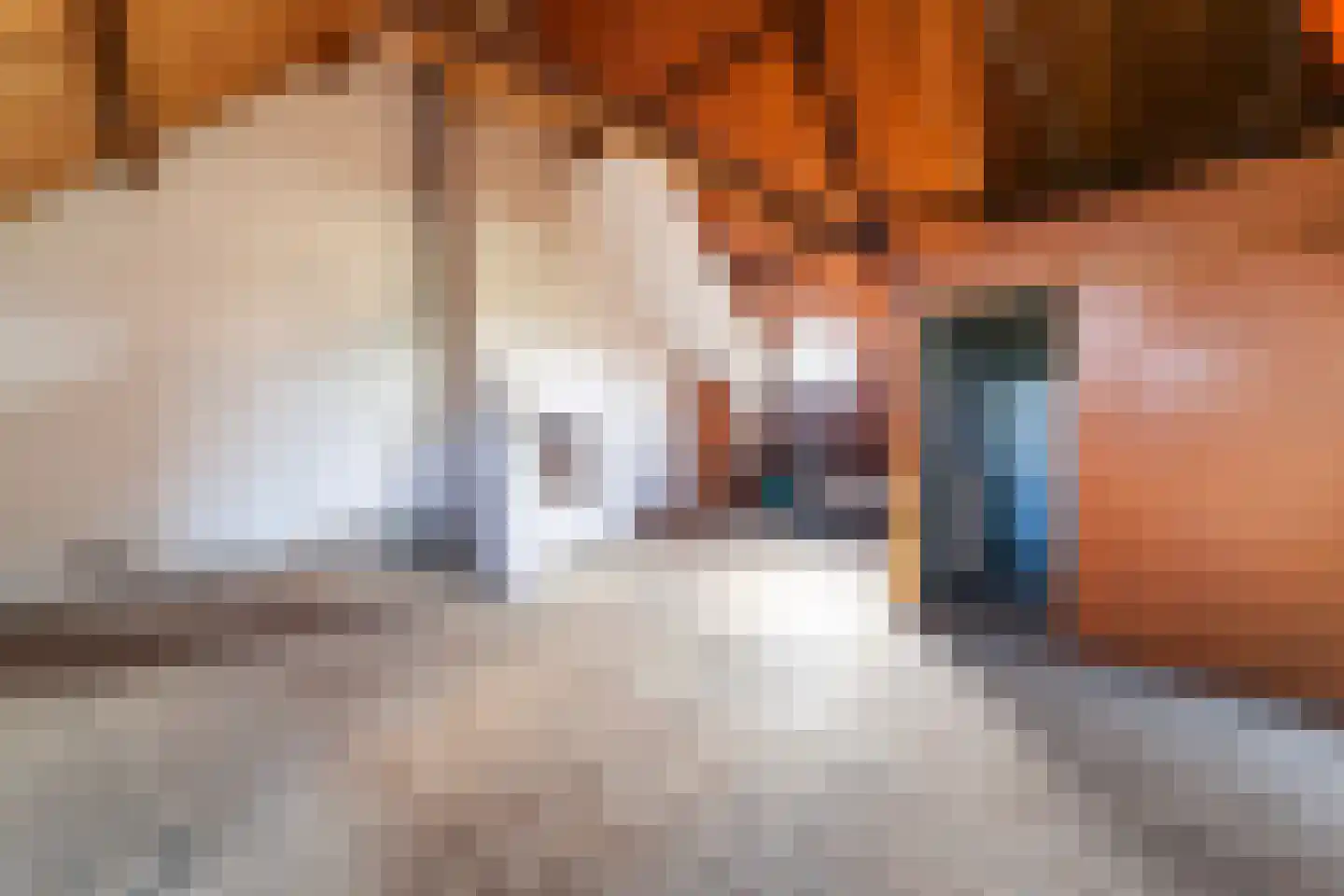 Achterst Ven 1 Veghel thumbnail 44