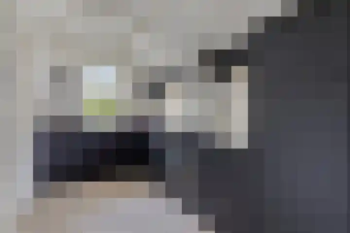 Achterste Erm 1 Erm thumbnail 11