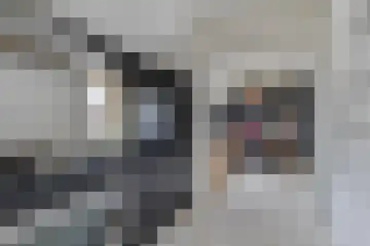 Achterste Erm 1 Erm thumbnail 12