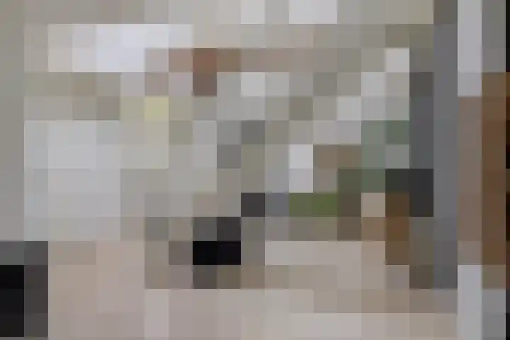 Achterste Erm 1 Erm thumbnail 13