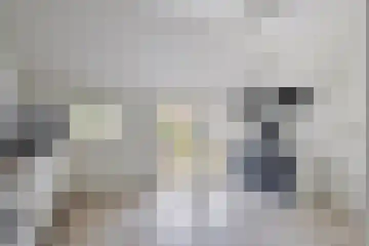 Achterste Erm 1 Erm thumbnail 16