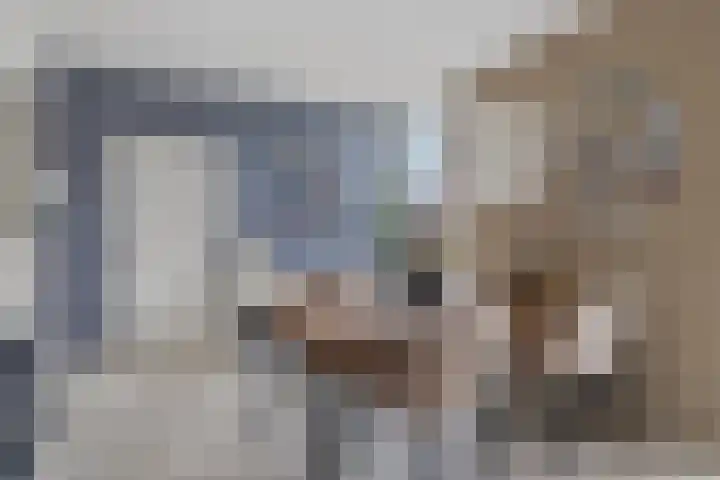 Achterste Erm 1 Erm thumbnail 18