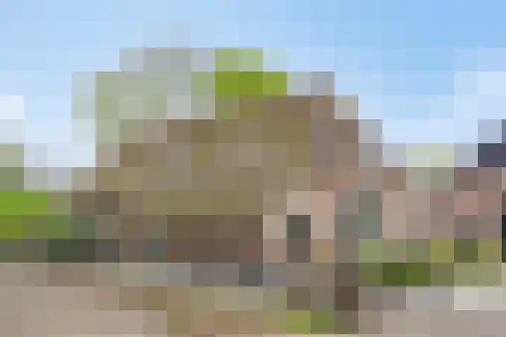 Achterste Erm 1 Erm foto 2