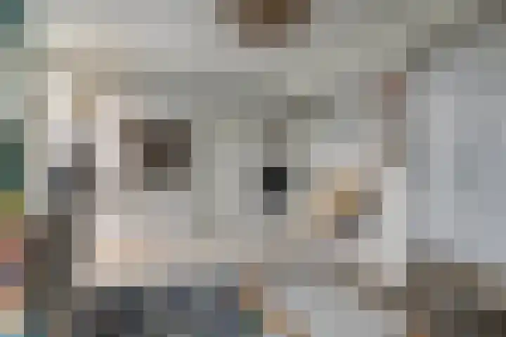 Achterste Erm 1 Erm thumbnail 20