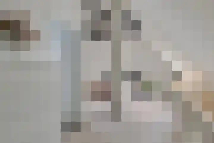 Achterste Erm 1 Erm thumbnail 25