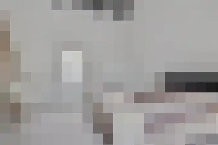 Achterste Erm 1 Erm thumbnail 26