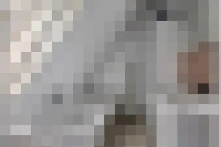 Achterste Erm 1 Erm thumbnail 29