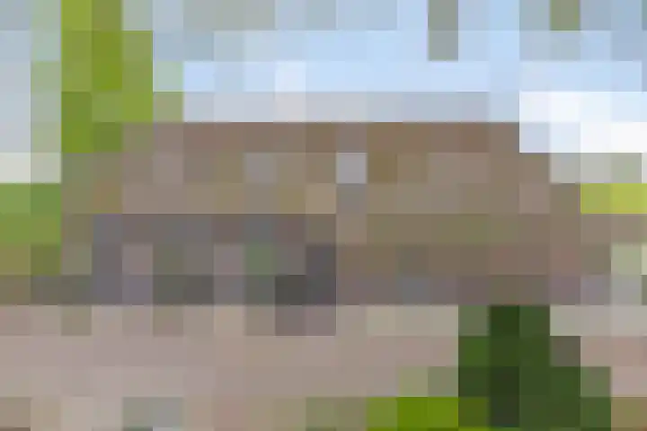 Achterste Erm 1 Erm foto 3