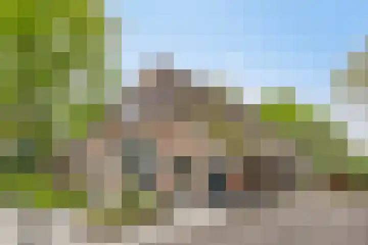 Achterste Erm 1 Erm thumbnail 35