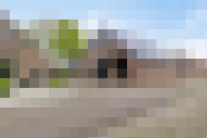 Achterste Erm 1 Erm thumbnail 36