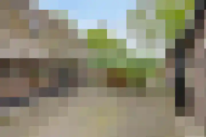 Achterste Erm 1 Erm thumbnail 37
