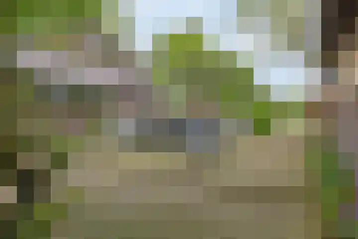 Achterste Erm 1 Erm thumbnail 38