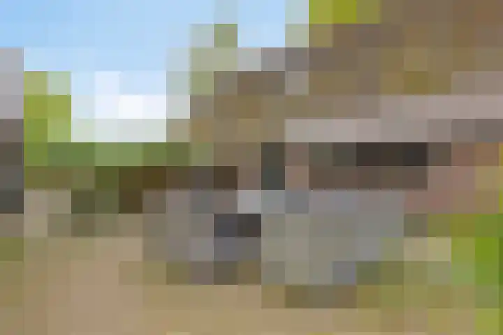 Achterste Erm 1 Erm thumbnail 39
