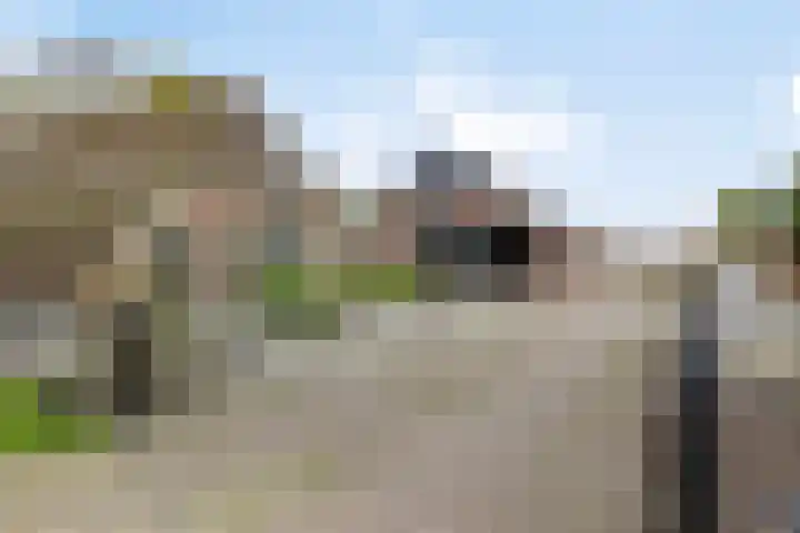 Achterste Erm 1 Erm thumbnail 4