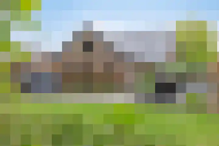 Achterste Erm 1 Erm thumbnail 40