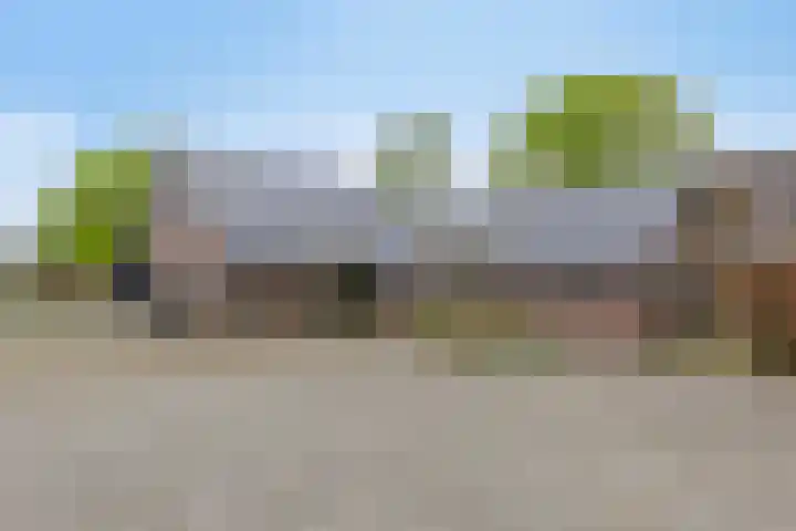 Achterste Erm 1 Erm thumbnail 41