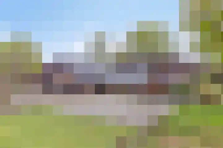 Achterste Erm 1 Erm thumbnail 42