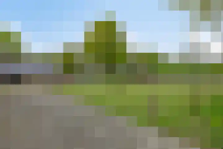 Achterste Erm 1 Erm thumbnail 43