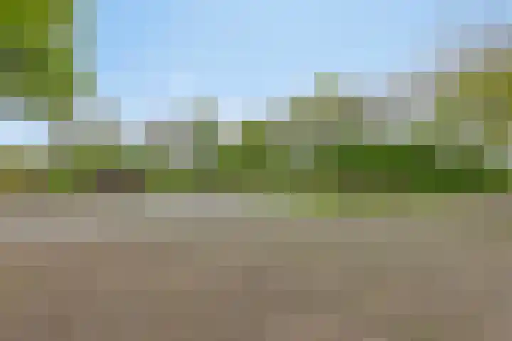 Achterste Erm 1 Erm thumbnail 44