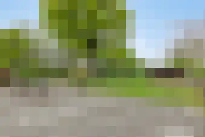 Achterste Erm 1 Erm thumbnail 45