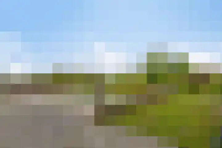 Achterste Erm 1 Erm thumbnail 46