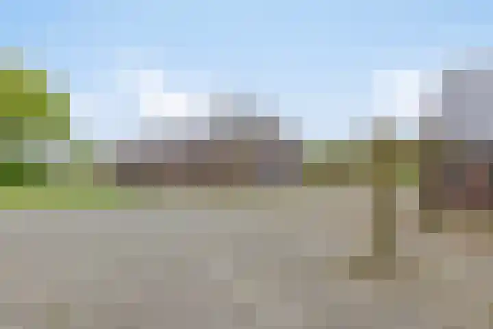 Achterste Erm 1 Erm thumbnail 47
