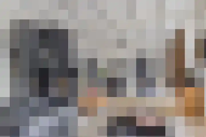 Achterste Erm 1 Erm thumbnail 5