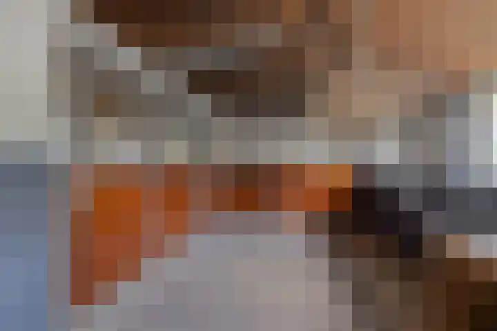 Achterste Erm 1 Erm thumbnail 50