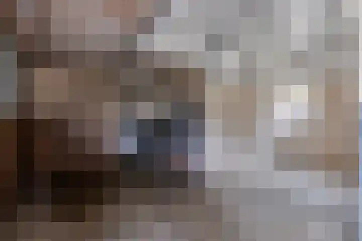 Achterste Erm 1 Erm thumbnail 52