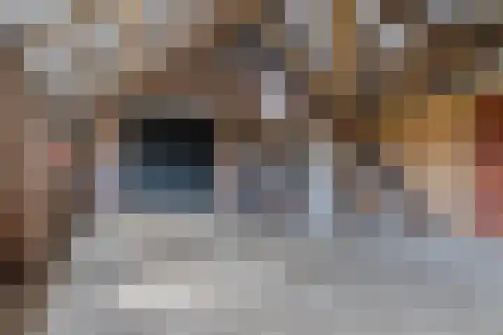 Achterste Erm 1 Erm thumbnail 53